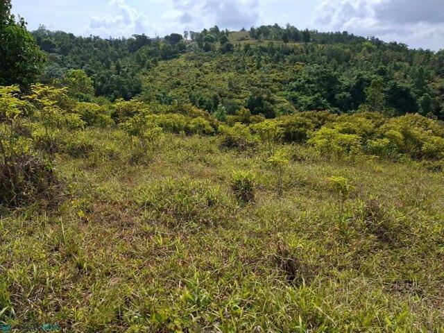 Land for sale in Green Creek, New Jersey