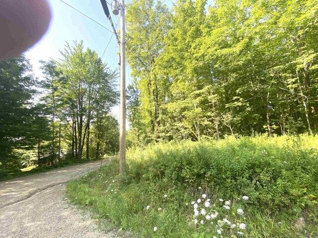 Land for sale in Ripton, Vermont