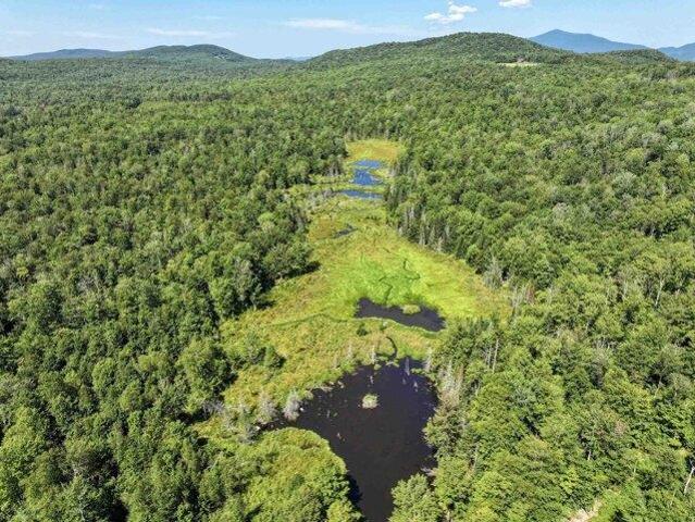 Land for sale in Ripton, Vermont