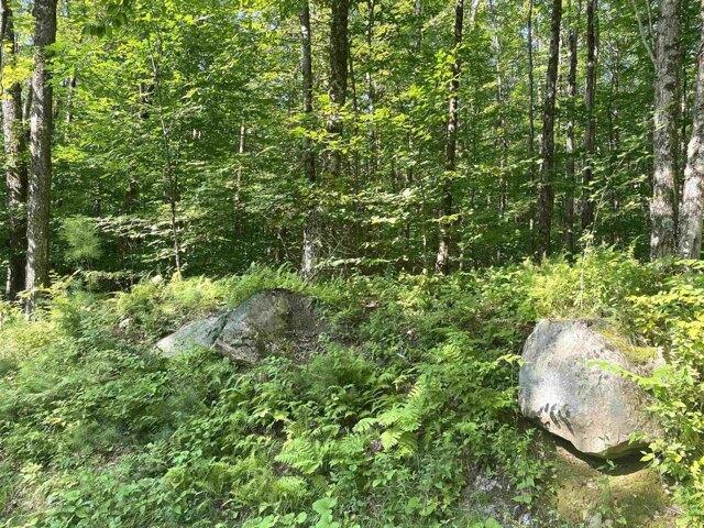 Land for sale in Ripton, Vermont
