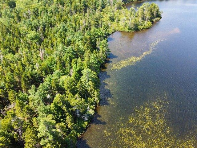 Land for sale in Robbinston, Maine