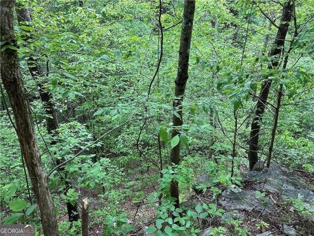 Land for sale in Rockmart, Georgia