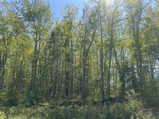 Land for sale in Rockport, Maine