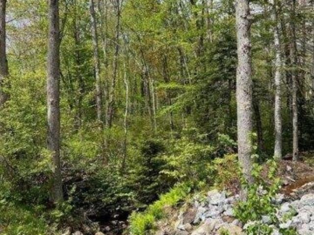 Land for sale in Rockport, Maine