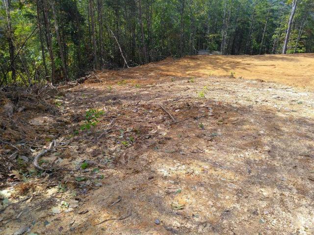 Land for sale in Tennessee