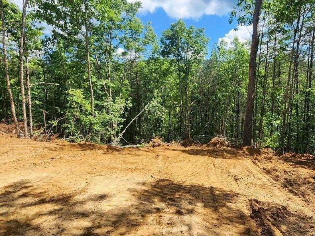 Land for sale in Tennessee