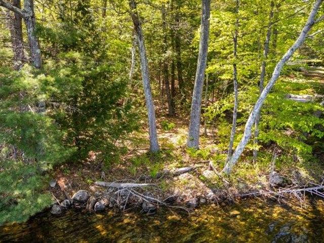 Land for sale in Maine