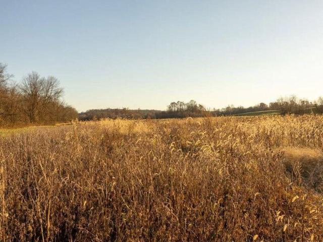 Land for sale in Roseville, Ohio