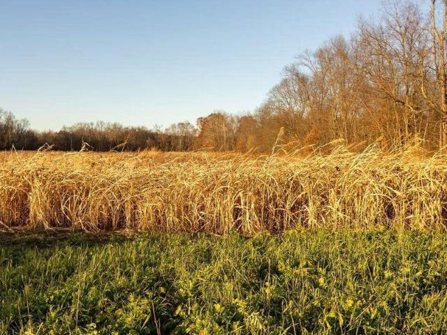Land for sale in Roseville, Ohio