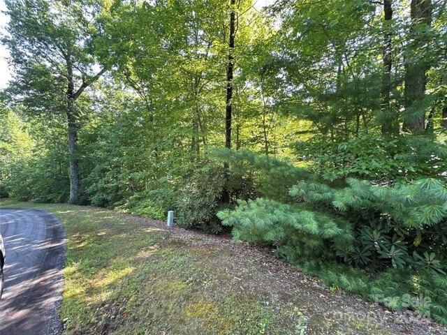 Land for sale in Rosman, North Carolina