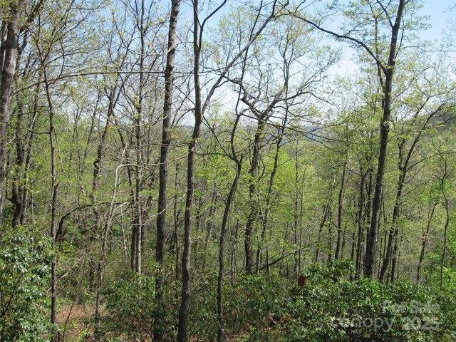 Land for sale in Rosman, North Carolina
