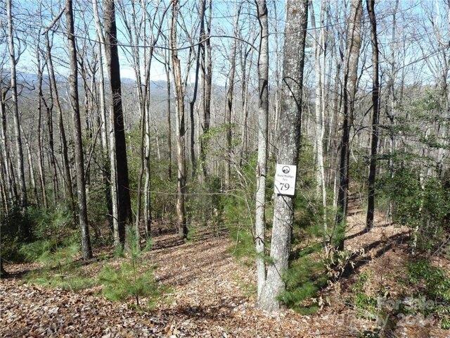 Land for sale in Rosman, North Carolina