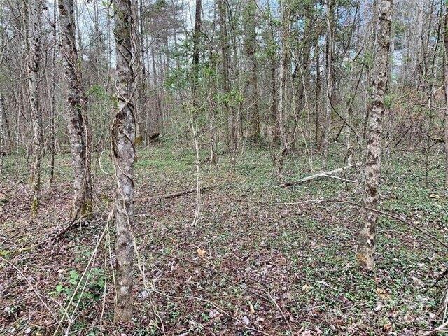 Land for sale in Rosman, North Carolina