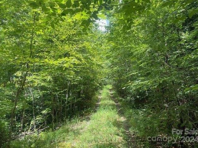 Land for sale in Rosman, North Carolina