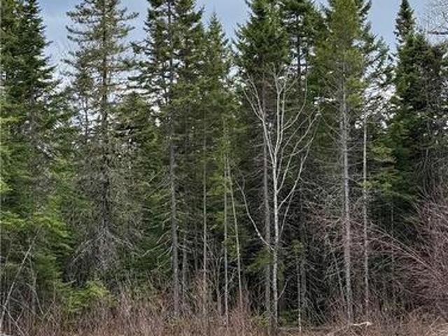 Land for sale in Saint-paul, New Brunswick