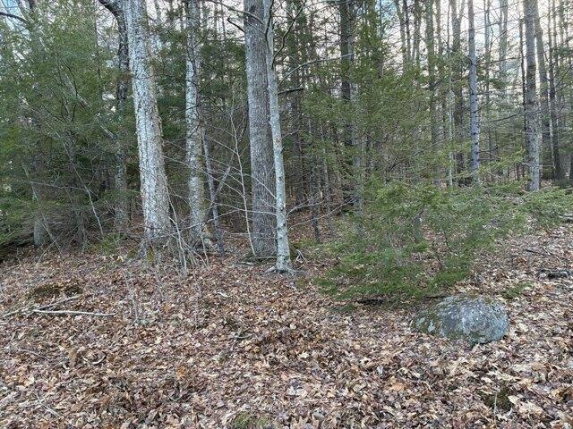 Land for sale in Rowe, Massachusetts