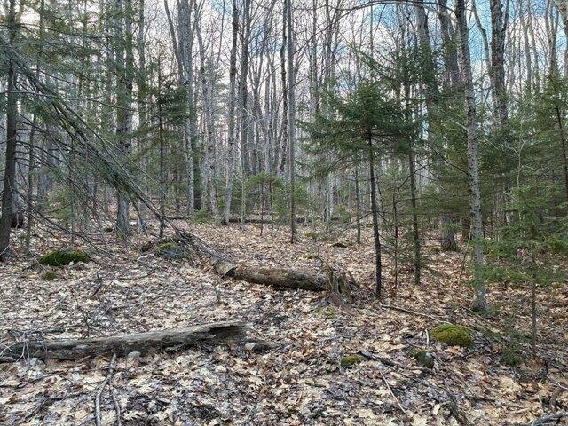 Land for sale in Rowe, Massachusetts