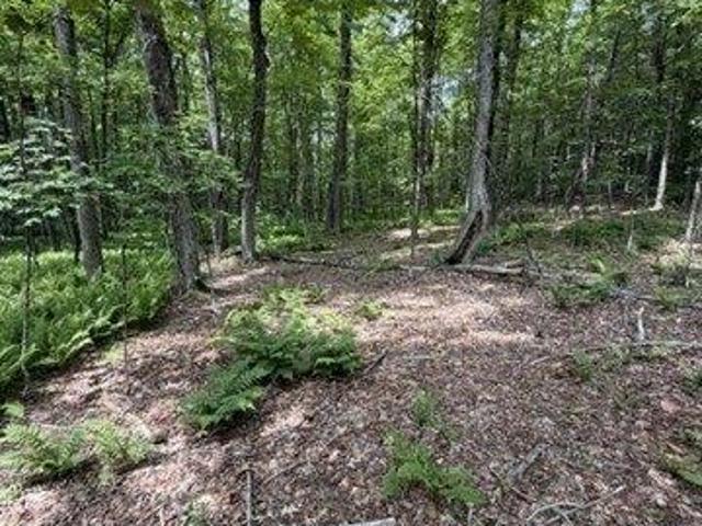 Land for sale in Rowe, Massachusetts