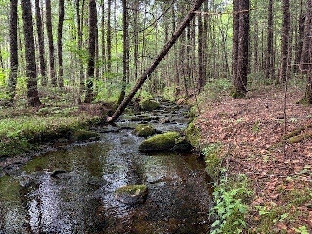 Land for sale in Rowe, Massachusetts