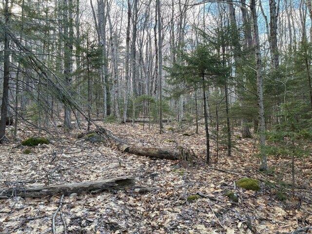 Land for sale in Rowe, Massachusetts
