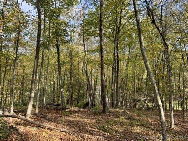 Land for sale in Roxbury, Connecticut