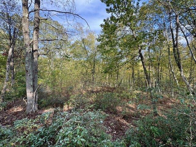 Land for sale in Roxbury, Connecticut
