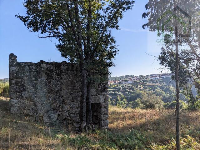 Casa venda em Tábua, Coimbra