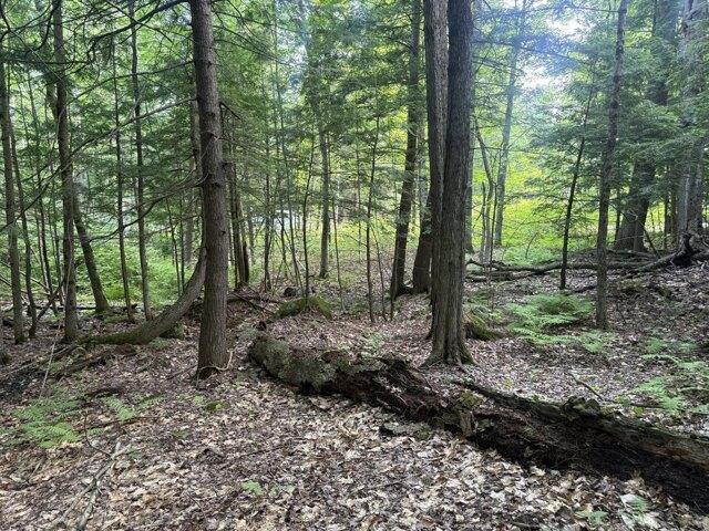 Land for sale in Rumford, Maine