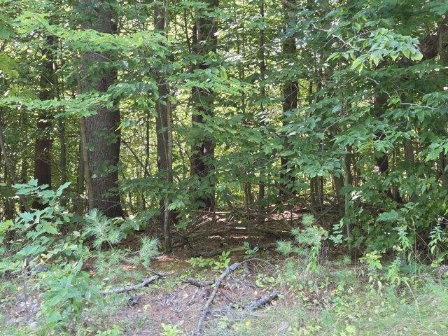 Land for sale in Rumford, Oxford County