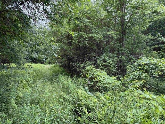Land for sale in New Hampshire