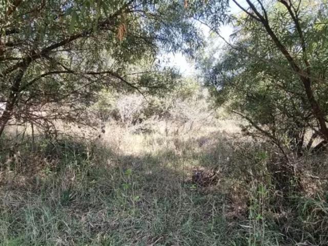 Land for sale
