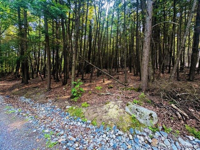 Land for sale in Saint Albans, Maine
