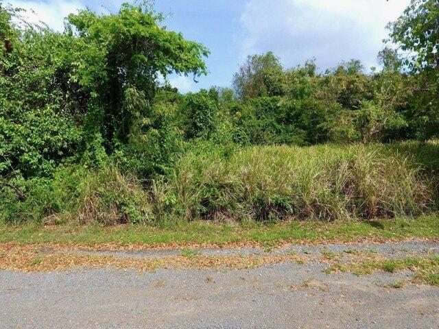Land for sale