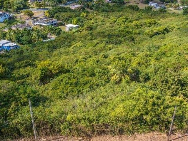 Land for sale