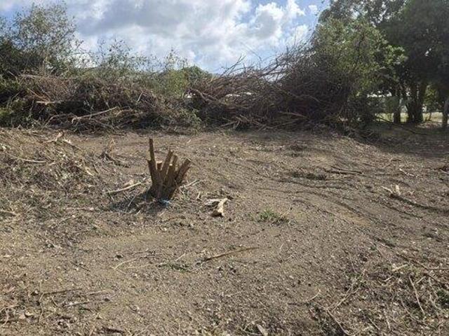 Land for sale