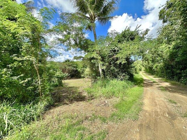 Land for sale