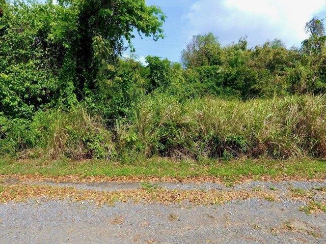 Land for sale