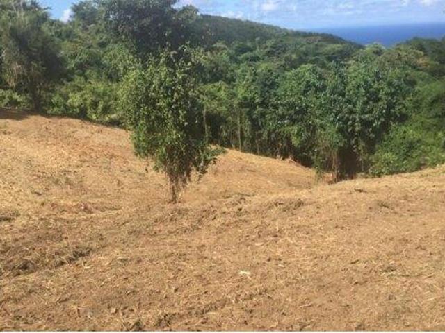 Land for sale