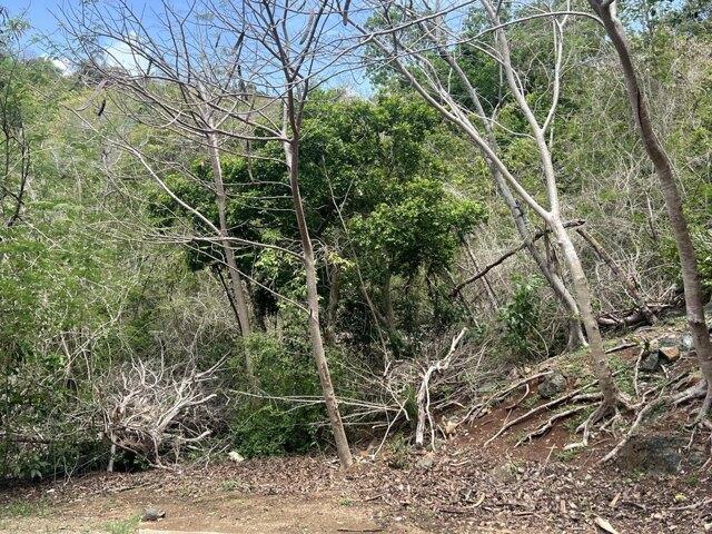 Land for sale in Indiana