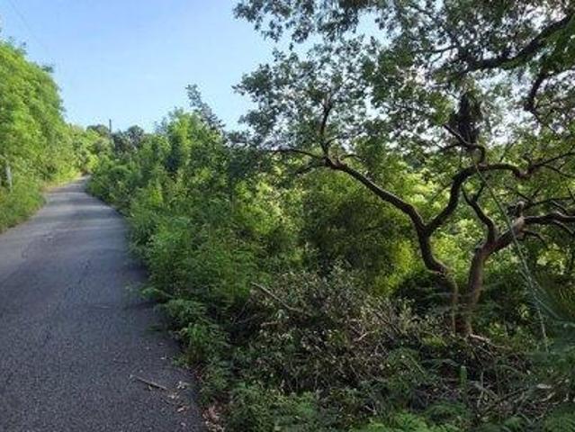 Land for sale in Saint Thomas, Missouri