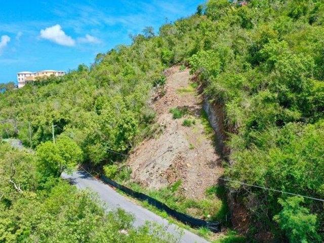 Land for sale in Saint Thomas, Missouri