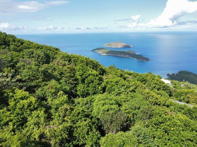 Land for sale in Saint Thomas, Missouri