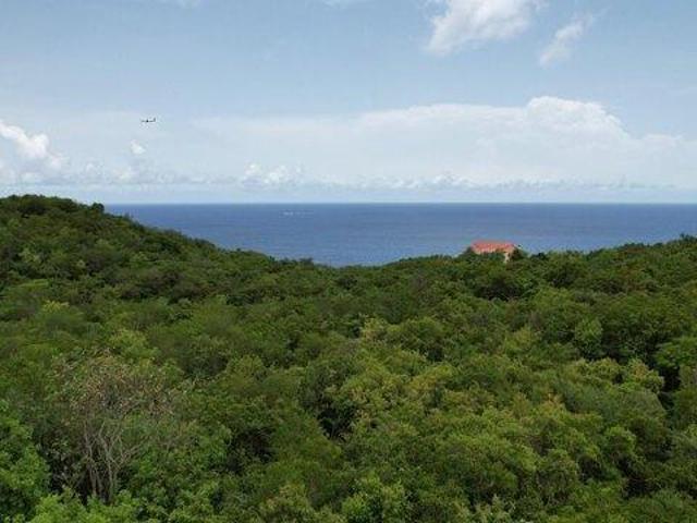 Land for sale in Saint Thomas, Missouri