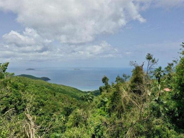 Land for sale in Saint Thomas, Missouri