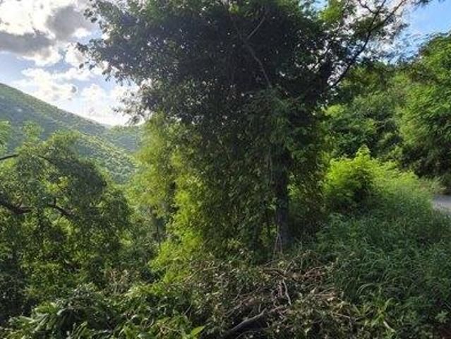 Land for sale in Saint Thomas, Missouri