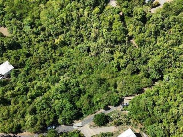 Land for sale in Saint Thomas, Missouri