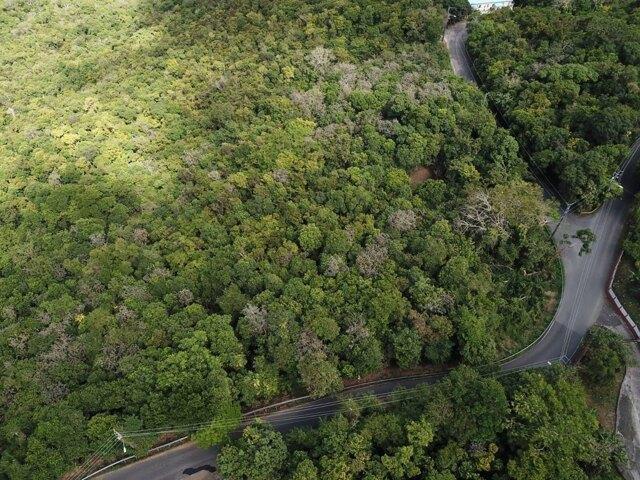 Land for sale in Saint Thomas, Missouri