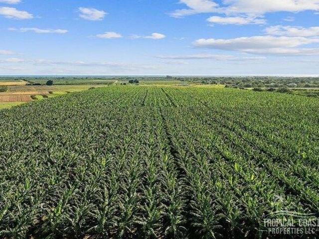 Land for sale in Salinas
