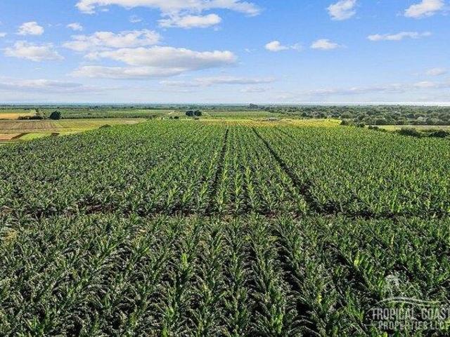 Land for sale in Salinas