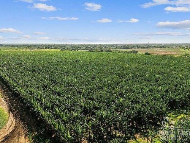 Land for sale in Salinas